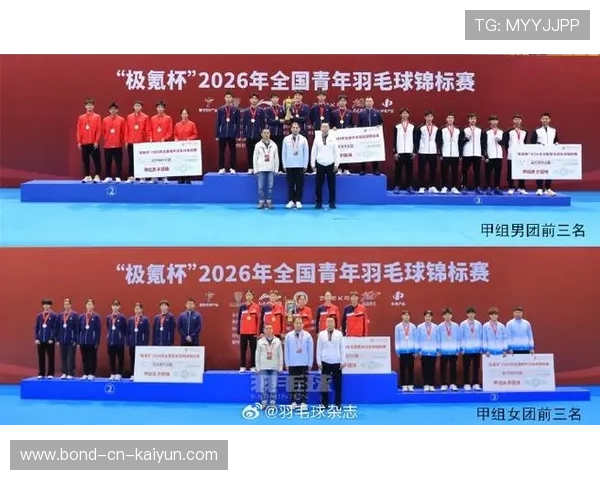 国际羽毛球公开赛中国选手在决赛中以韧性夺冠(317 )